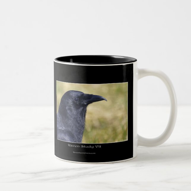 RAVEN STUDY Collection Två-Tonad Mugg (Höger)