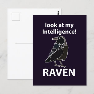 Raven, titta på min underrättelsetjänst vykort