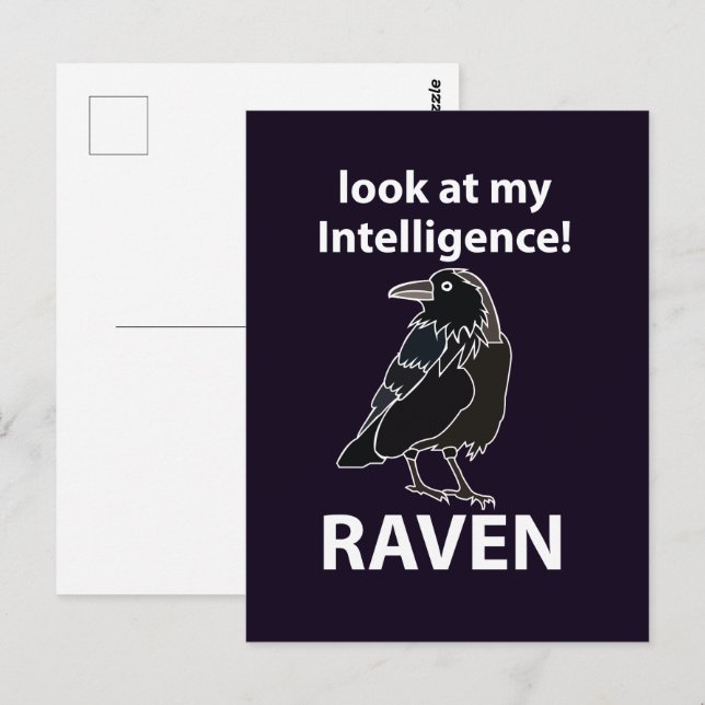 Raven, titta på min underrättelsetjänst vykort (Fram/baksida)