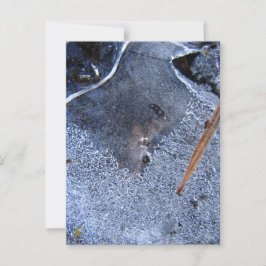 Raven Totem, Black Bird Corvid Vykort