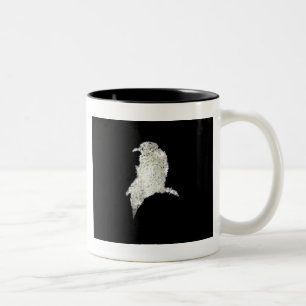 Raven Två-Tonad Mugg