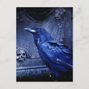 Raven vid Gravsten Vykort