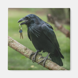 Raven vid Gren med Nyckel Magnet