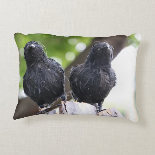 Raven vid kudden prydnadskudde (Baksidan)