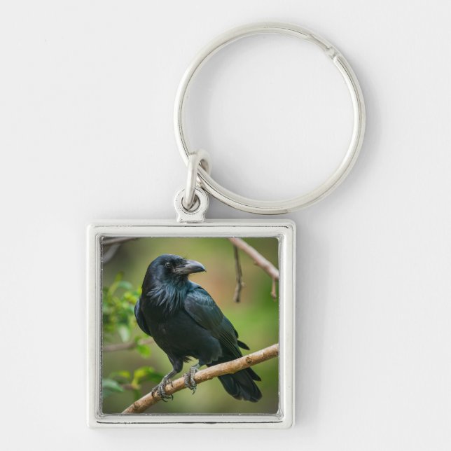 Raven vid Träd Gren Fyrkantig Silverfärgad Nyckelring (Framsidan)