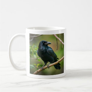Raven vid Träd Gren Kaffemugg
