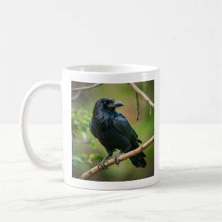 Raven vid Träd Gren Kaffemugg