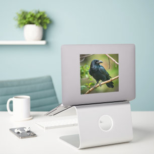Raven vid Träd Gren Klistermärken