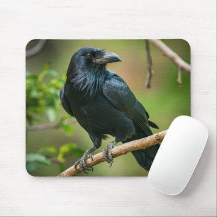 Raven vid Träd Gren Musmatta