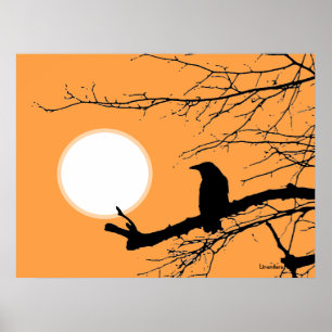 Raven vid Träd Sol Poster