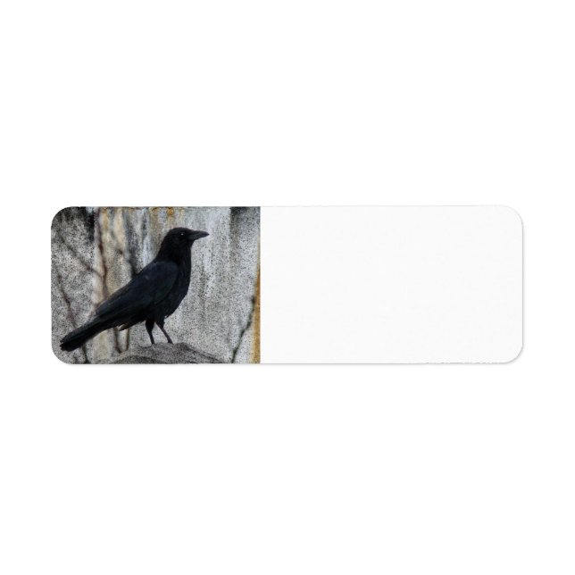 Raven Waiting Returadress Etikett (Framsidan)