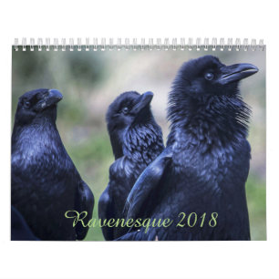 Ravenesque magical fågel 2018 kalender för 18