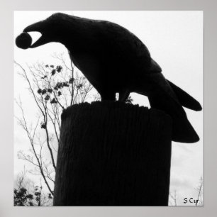 Raven's Bita, S Cyr Poster