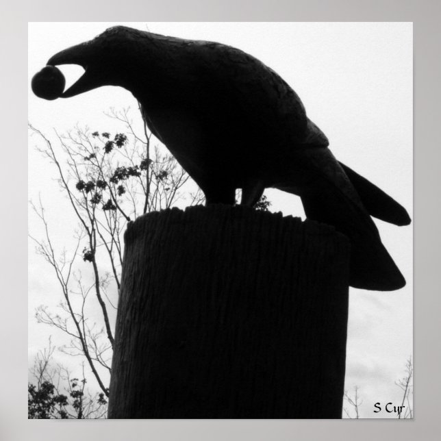 Raven's Bita, S Cyr Poster (Framsidan)