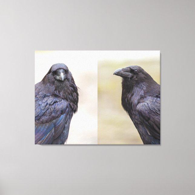 Ravens Canvastryck (Framsida)