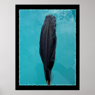 Ravens fjäder poster
