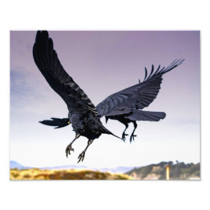 Ravens i för flyg fototryck tillsammans