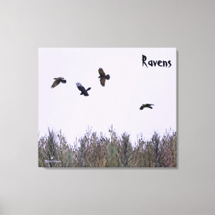 Ravens-lås Canvastryck