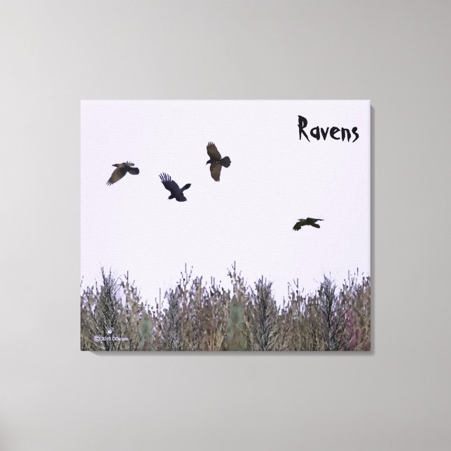 Ravens-lås Canvastryck (Framsida)