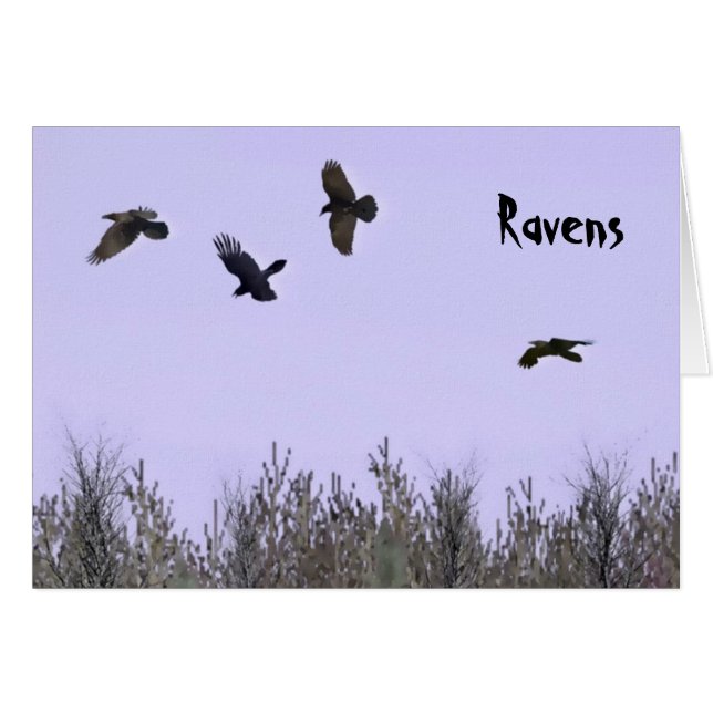 Ravens-lås Hälsningskort (Framsidan Horizontal)