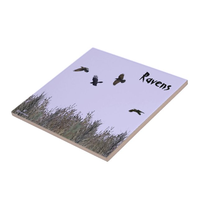 Ravens-lås Kakelplatta (Sidan)