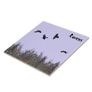 Ravens-lås Kakelplatta