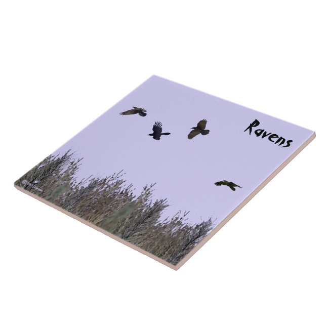 Ravens-lås Kakelplatta (Sidan)