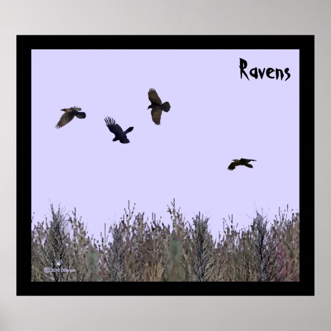 Ravens-lås Poster (Framsidan)