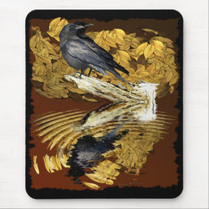 RAVENS & POND-samling i ÖSTUMN Musmatta
