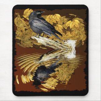 RAVENS & POND-samling i ÖSTUMN Musmatta