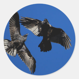 ravens runt klistermärke