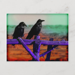 Ravens Vykort