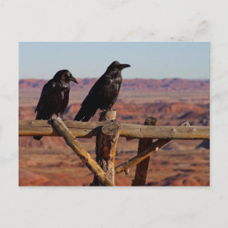 Ravens Vykort
