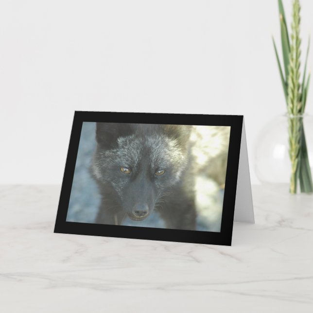 Rävhälsningkort Kort (Framsida)