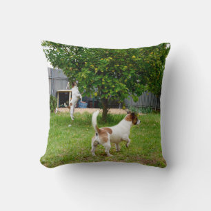 Rävhund hoppar upp i ett träd, kudde