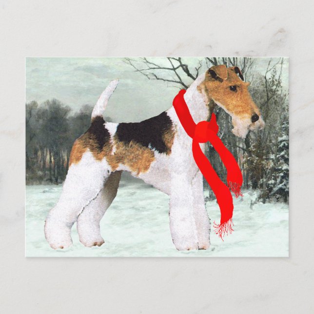 Rävhund Vinter Vykort (Framsida)