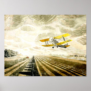 Raviliös, berömd som målar Tiger Moth Poster