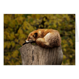 Rävkort - förbigå för tillfällen - beställnings- hälsningskort