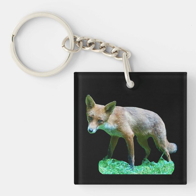 Rävlunga på mossig gräs Skogsliv Vilda djur Natur (Framsidan)