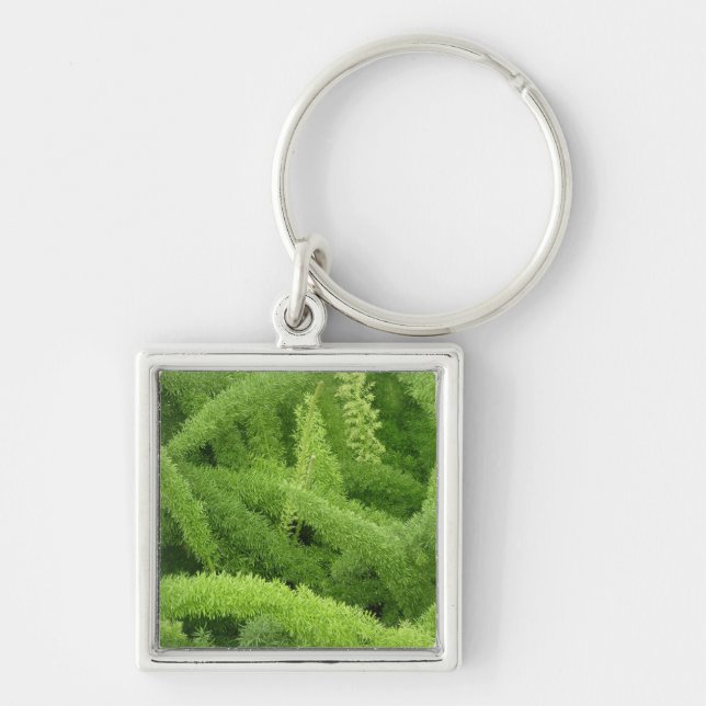 Rävsvansormbunya, Asparagus densiflorus myers Fyrkantig Silverfärgad Nyckelring (Framsidan)
