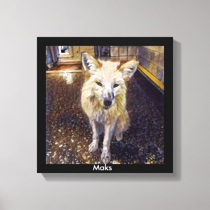 Rävtryck - Maks Canvastryck