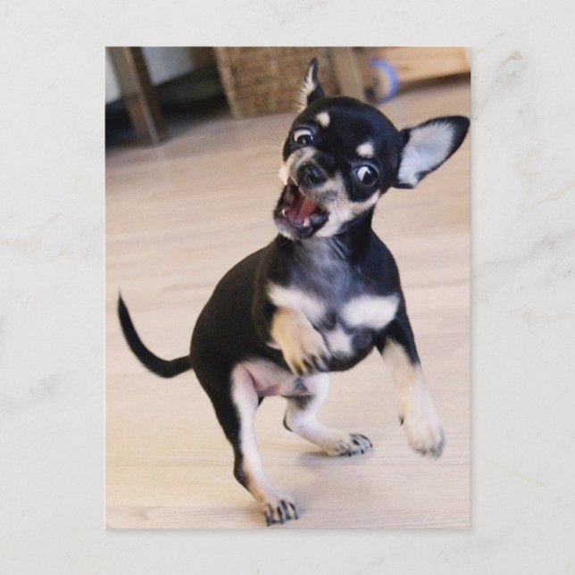 Rawr Vykort (Framsida)