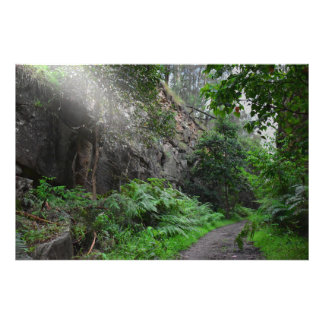 Ray of Light Fototryck