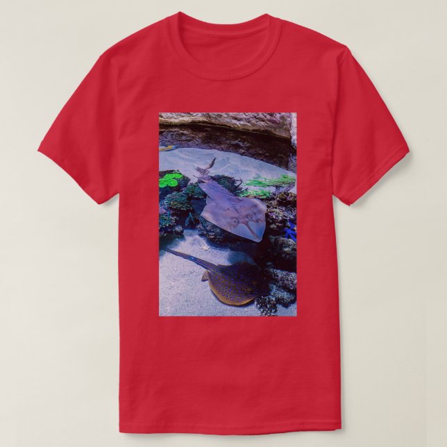 Rays vid AWQA T Shirt (Design framsida)