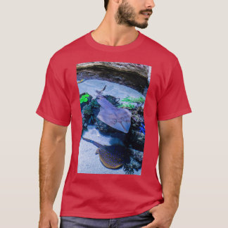 Rays vid AWQA T Shirt