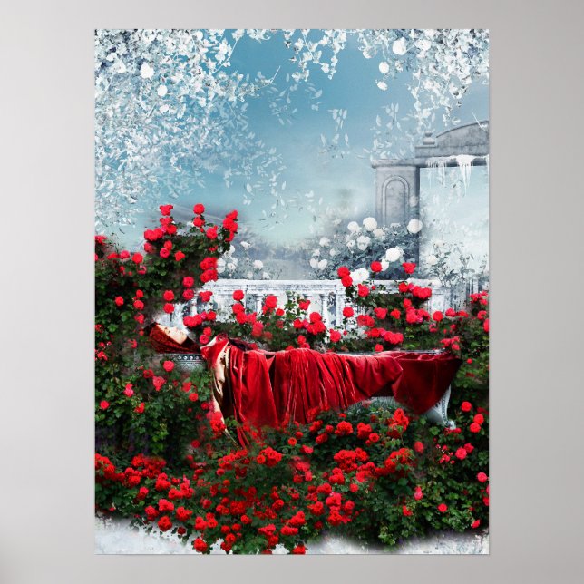 Raysel Poster (Framsidan)