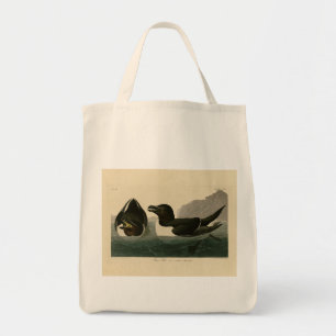 Razor Bill, John James Audubon's Birds of America Tygkasse
