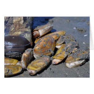 Razor Clams Hälsningskort
