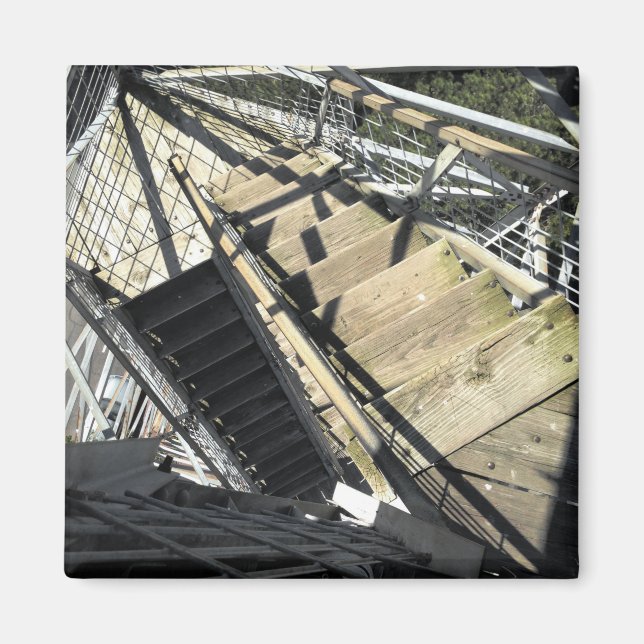 razorback torn i Eureka vår Magnet (Framsidan)