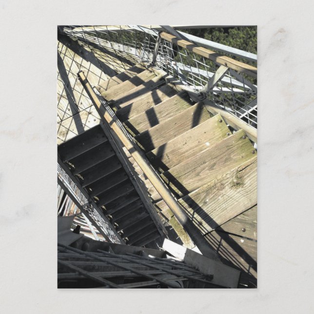 razorback torn i Eureka vår Vykort (Framsida)